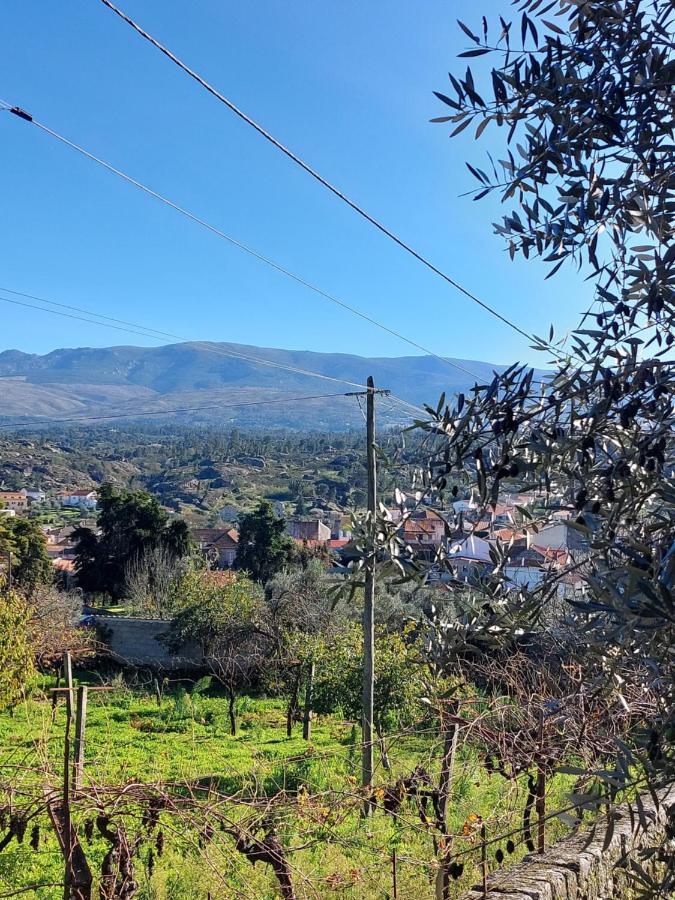 Casa Das Cortes - Serra Da Estrela Apartment Gouveia  Ngoại thất bức ảnh