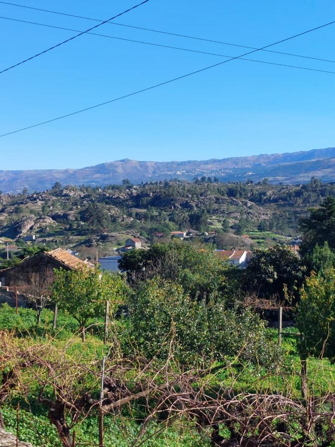 Casa Das Cortes - Serra Da Estrela Apartment Gouveia  Ngoại thất bức ảnh